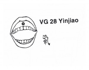 VG28
