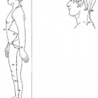 croquis du méridien de la vésicule biliaire