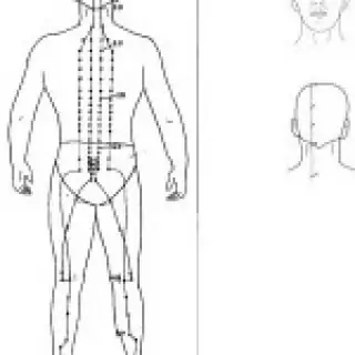 croquis du méridien de la vésicule biliaire