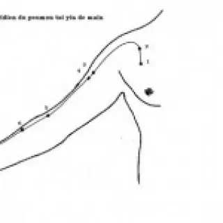 croquis du méridien de la vésicule biliaire
