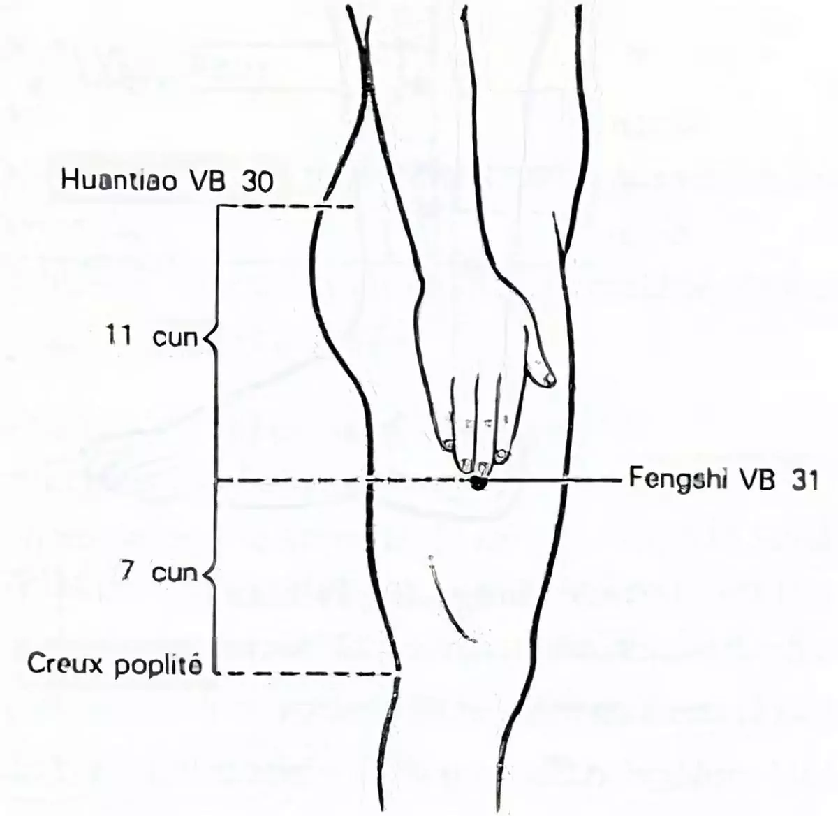croquis du méridien de la vésicule biliaire