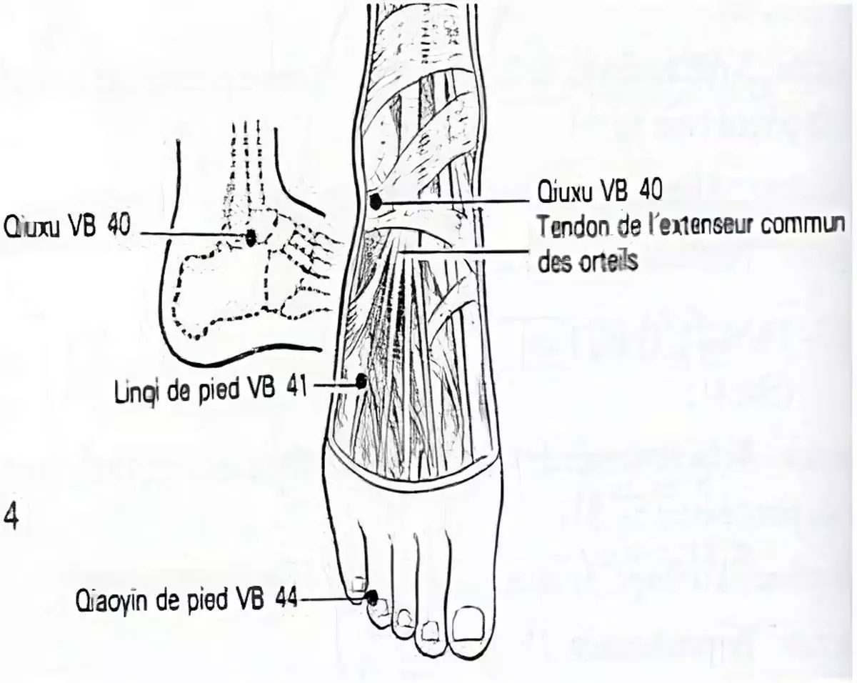 croquis du méridien de la vésicule biliaire