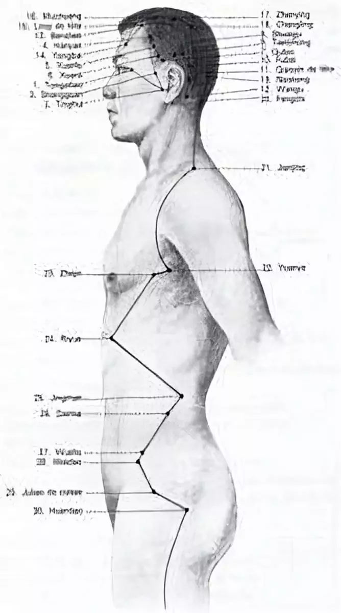 croquis du méridien de la vésicule biliaire