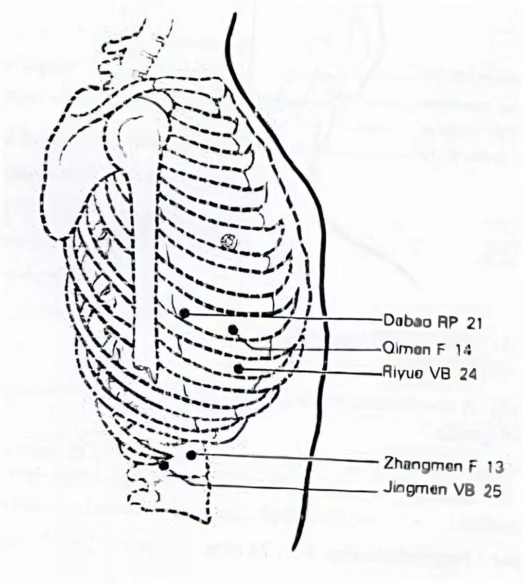 croquis du méridien de la vésicule biliaire