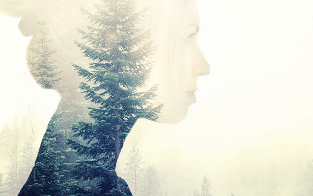 IMAGERIE MENTALE DIRIGÉE