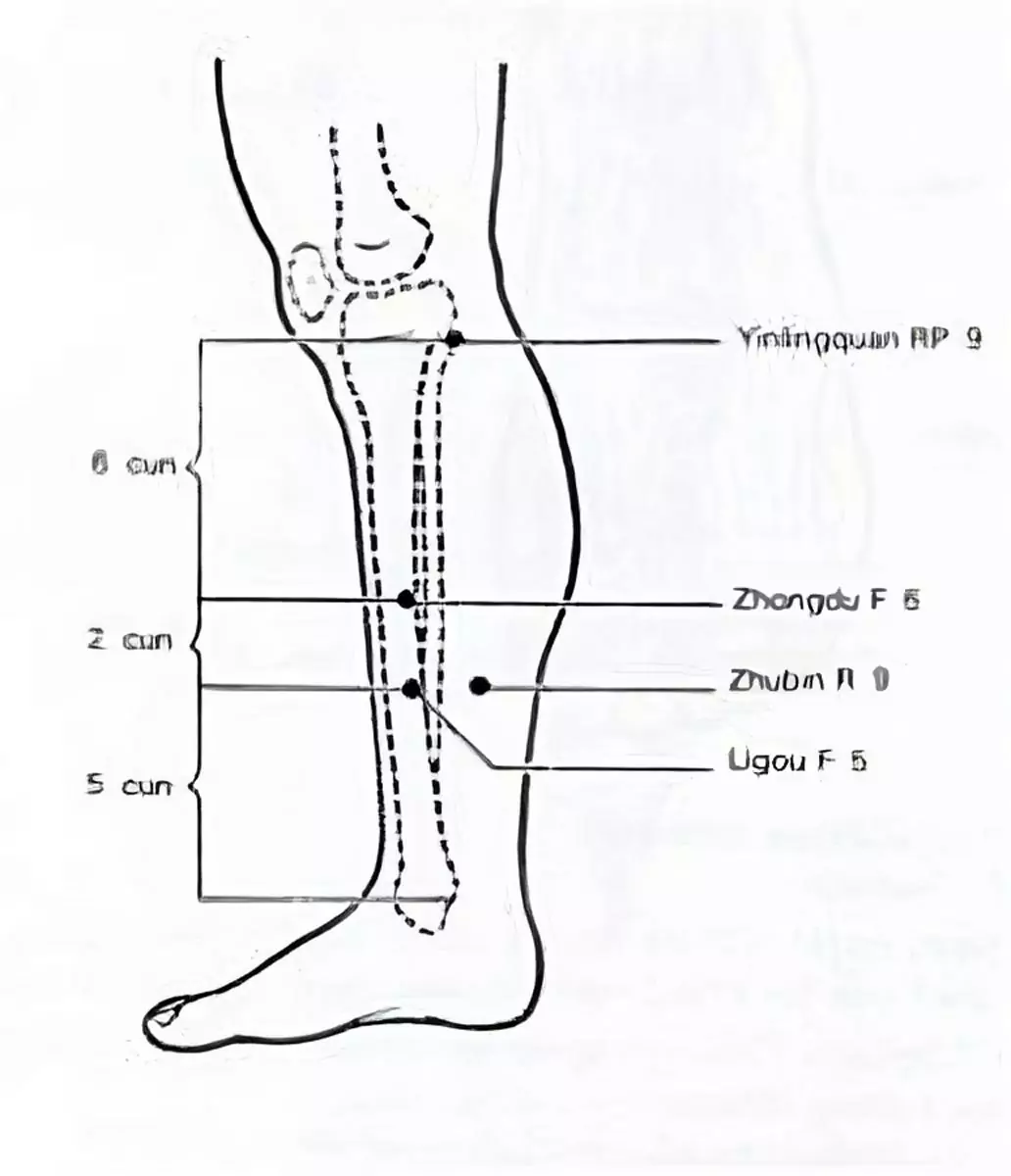 meridien-du-foie-5-transformed