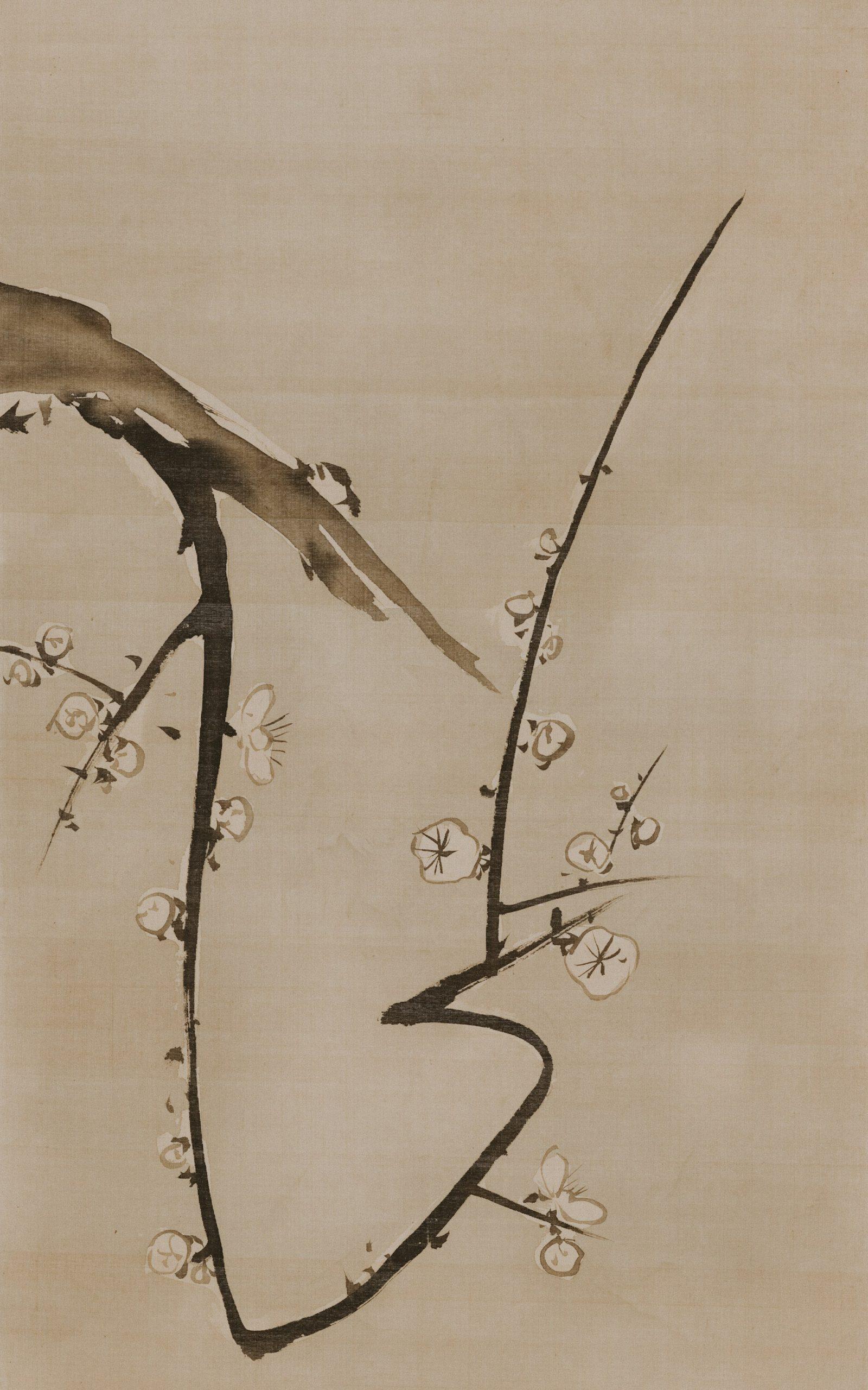 the-cleveland-museum-of-art-ppeO0ccpOLA-unsplash